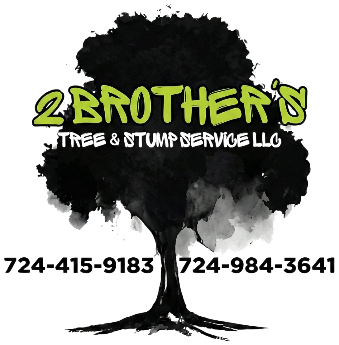 2 brother s logo