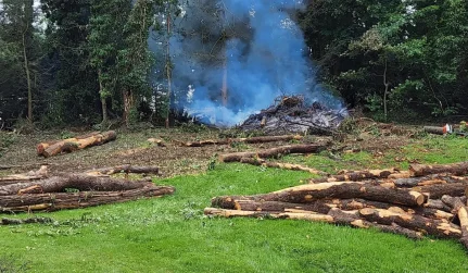 Land Clearing services