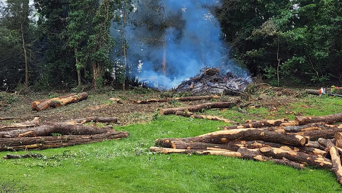 Land Clearing services Land Clearing services