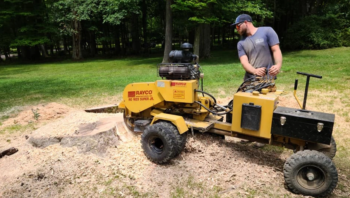 Stump Removal services