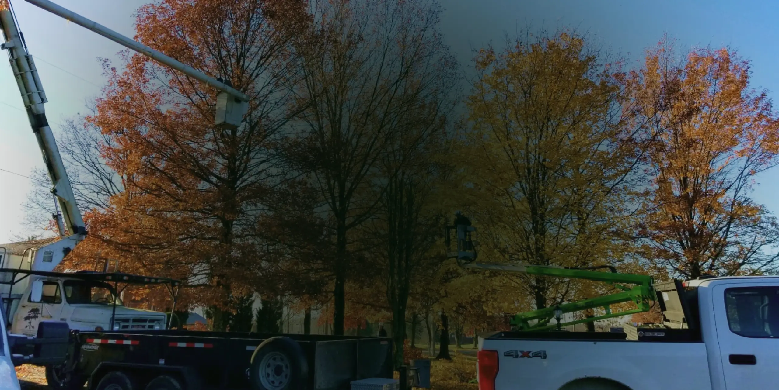 hero img tree services and land clearing services in uniontown pa 2