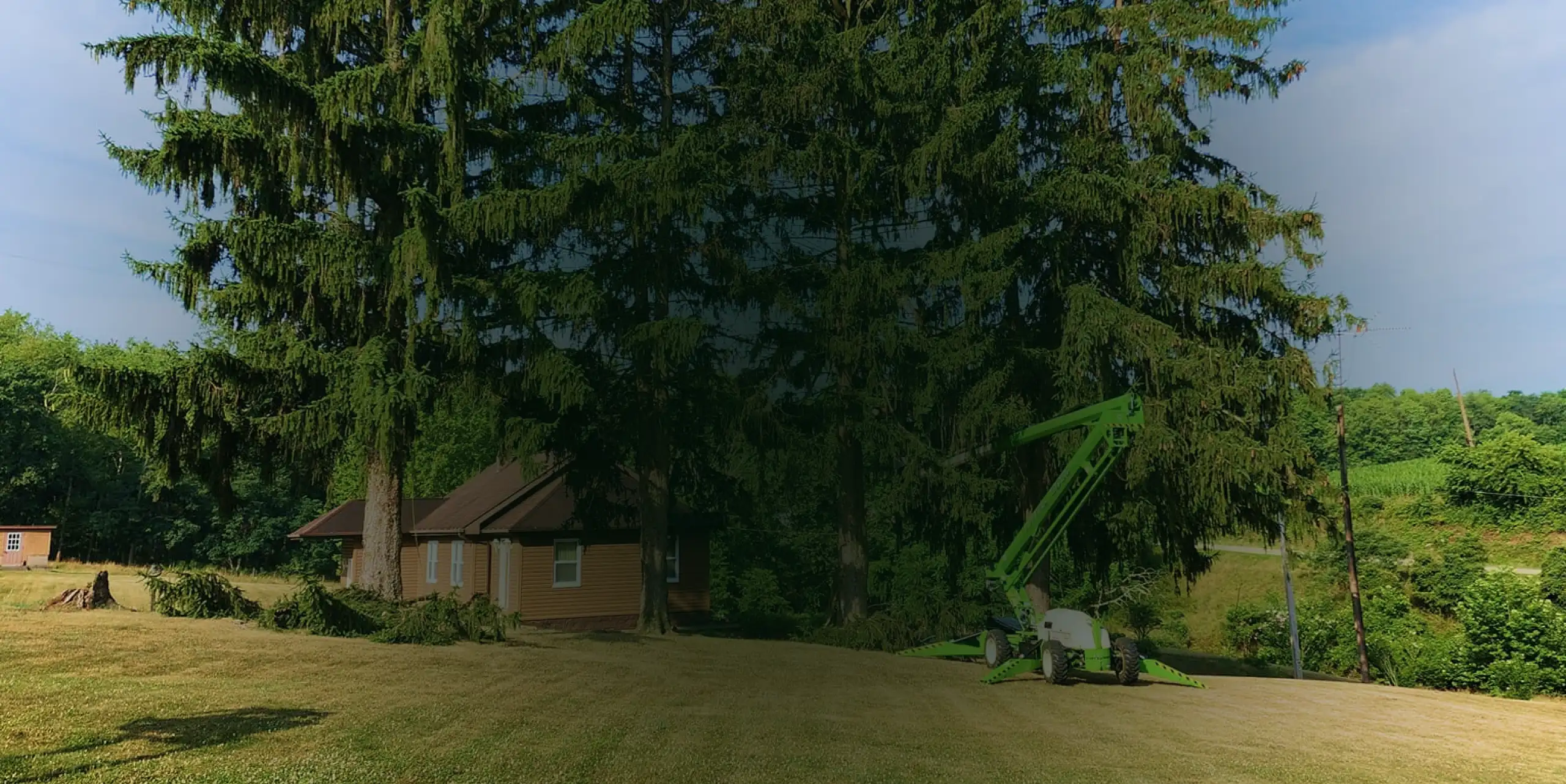 hero img tree services and land clearing services in uniontown pa