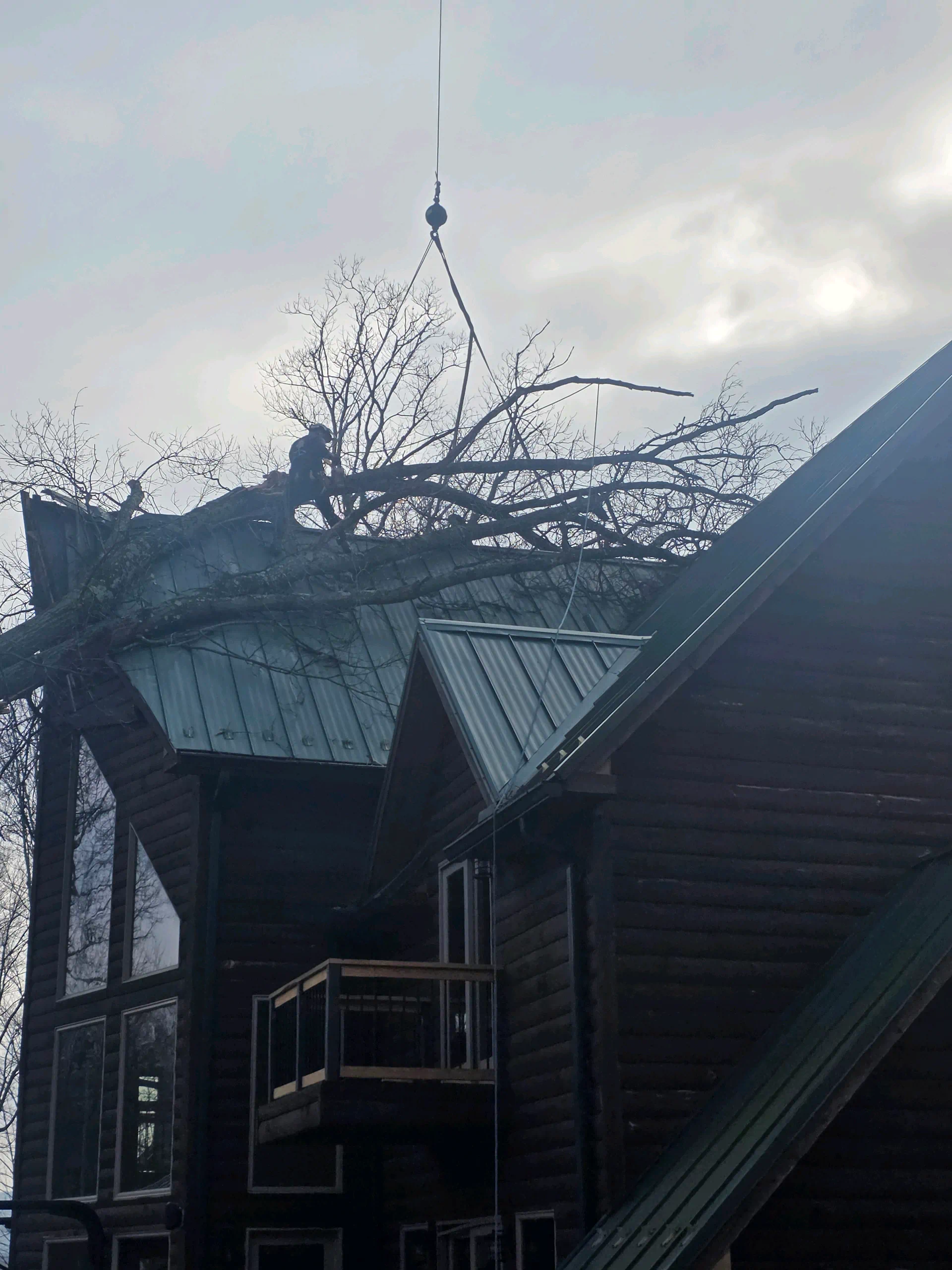Get Professional Tree Services in Connellsville, PA 2