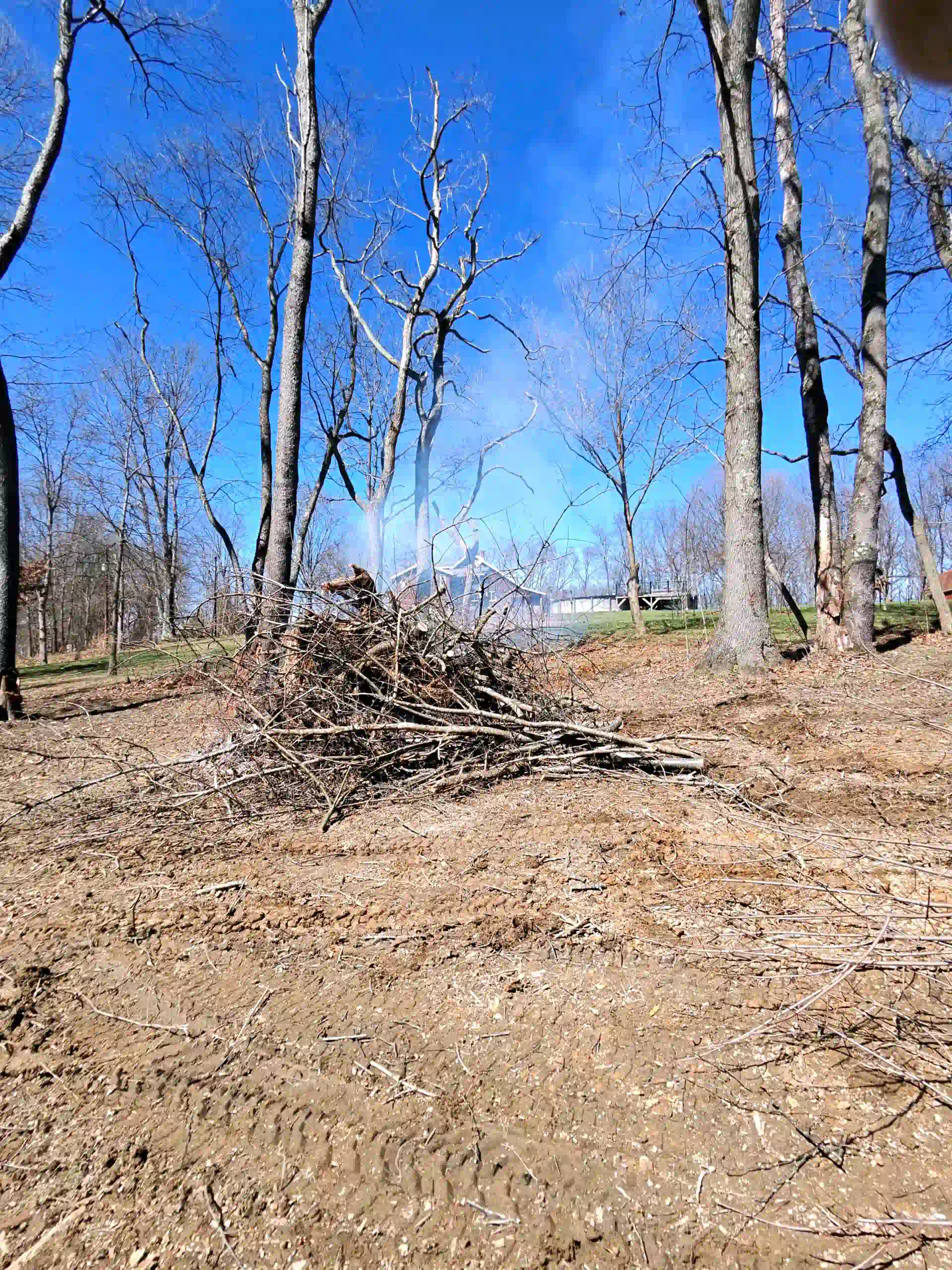 Get Professional Tree Services in Connellsville, PA