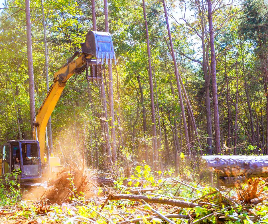 Get Professional Tree Services in Pittsburgh, PA 2
