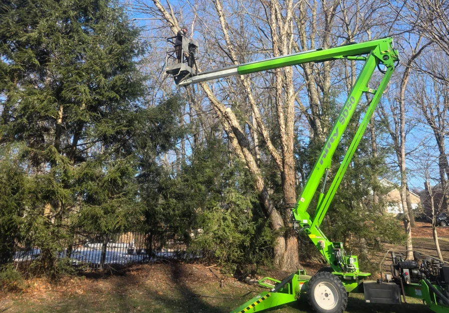 https://www.2brotherstreesrvllc.com/wp-content/uploads/2026/06/FAQ-_-Tree-Services.webp